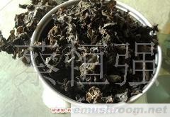 批发供应椴木春耳