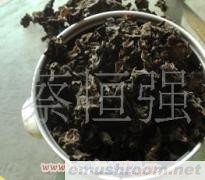 批发供应椴木春耳