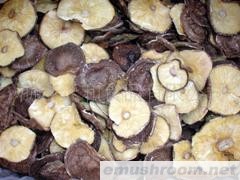 批发供应原木足切香信(图)