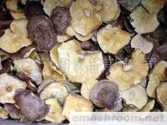 批发供应原木足切香信A3(图)