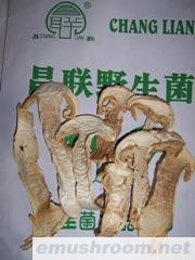 供应野生菌,松茸干品