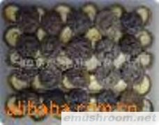 供应优质黑面菇