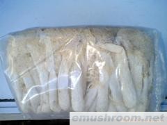 批发供应干竹荪，野生菌，Manbetx体育手机版推荐A9版本，土特产，酒店配送