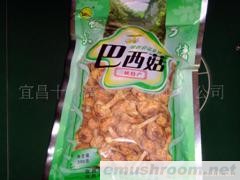 供应袋装巴西菇