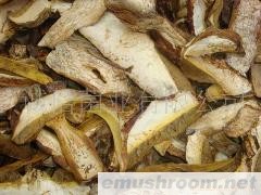 批发；野生菌 黄牛肝 食用菌 土特产 等