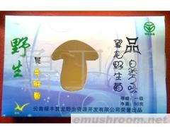 供应野生菌