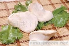 批发供应白灵菇，野生菌，Manbetx体育手机版推荐A9版本，土特产，酒店配送