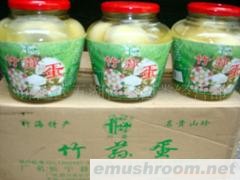 供应蜀南竹海土特产鲜竹荪蛋