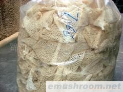 供应蜀南竹海土特产长群竹荪