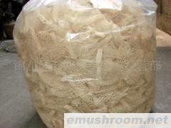 供应蜀南竹海土特产长群竹荪