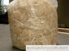 供应蜀南竹海土特产长群竹荪