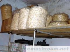 供应蜀南竹海土特产香竹荪