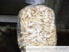 供应蜀南竹海土特产香竹荪