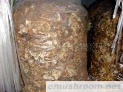 供应蜀南竹海土特产竹荪蛋皮/竹荪