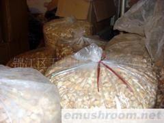 供应蜀南竹海土特产竹荪胎