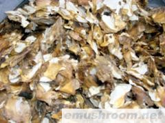 供应蜀南竹海土特产竹蛋皮/竹荪