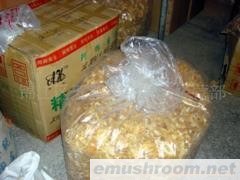 供应蜀南竹海土特产冬笋片/竹荪