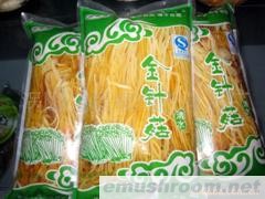 供应金针菇