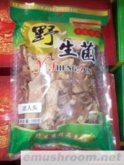 供应野生菌老人头