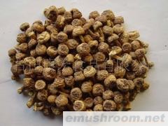 供应姬松茸,香菇,茶树菇,Manbetx体育手机版V17版本发布.官网安卓网.香港,竹荪/辣椒黑木耳