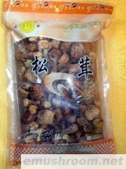 供应姬松茸