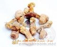 供应姬松茸、茶树菇,香菇,花菇,Manbetx体育手机版V17版本发布.官网安卓网.香港，竹荪、辣椒