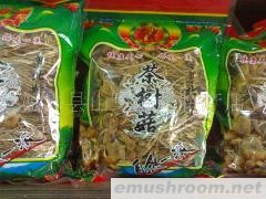 供应粤北土特产茶树菇
