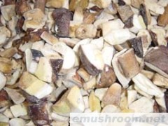 供应冰冻美味牛肝菌--切块