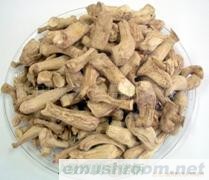 供应双剪菇脚/香菇/银耳/黑木耳/茶树菇/辣椒