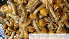 供应清水松茸、牛肝菌、什锦、双孢菇、姬菇等ManBetX体育