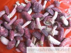 供应红菇 ,食品,干果,Manbetx体育手机版V17版本发布.官网安卓网.香港