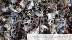 批发香菇 红菇 笋干(图)