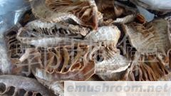批发香菇 红菇 笋干(图)