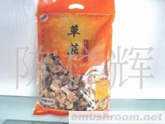 供应武夷山草菇