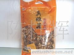 供应武夷山特级真姬菇