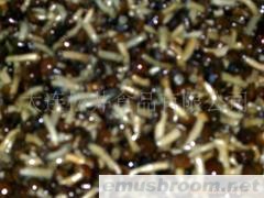 供应盐渍滑子蘑