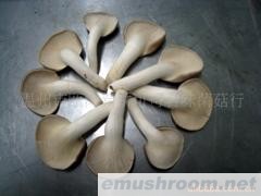 批发供应秀珍菇，Manbetx体育手机版V17版本发布.官网安卓网.香港(图)