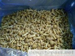 供应速冻滑子菇
