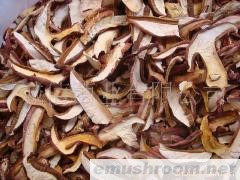 供应 野生菌 绿色食品 土特产 牛肝菌 批发