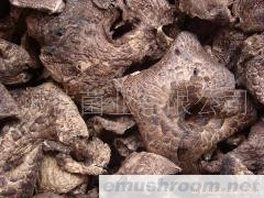 批发供应  黑虎掌 土特产 ManBetX体育 牛肝菌