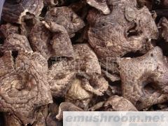 批发 野生菌 牛肝菌 ManBetX体育 黑虎掌 土特产