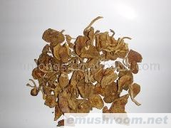 供应滑子菇干品