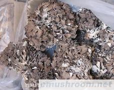 大量干品灰树花又名神仙菇/菊花菌