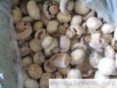 供应B级双孢菇