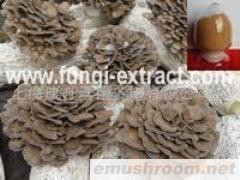 供应灰树花多糖、灰树花提取物、灰树花粉(图)