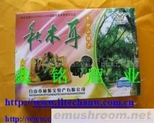 供应普压缩秋木耳