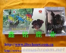 供应压缩黑木耳