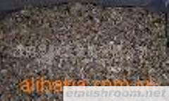 供应山珍野生菌-美味牛肝菌脚