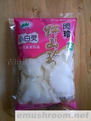 供应牛肝菌 375克袋装小白灵