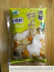 供应牛肝菌 375克袋装什锦菇